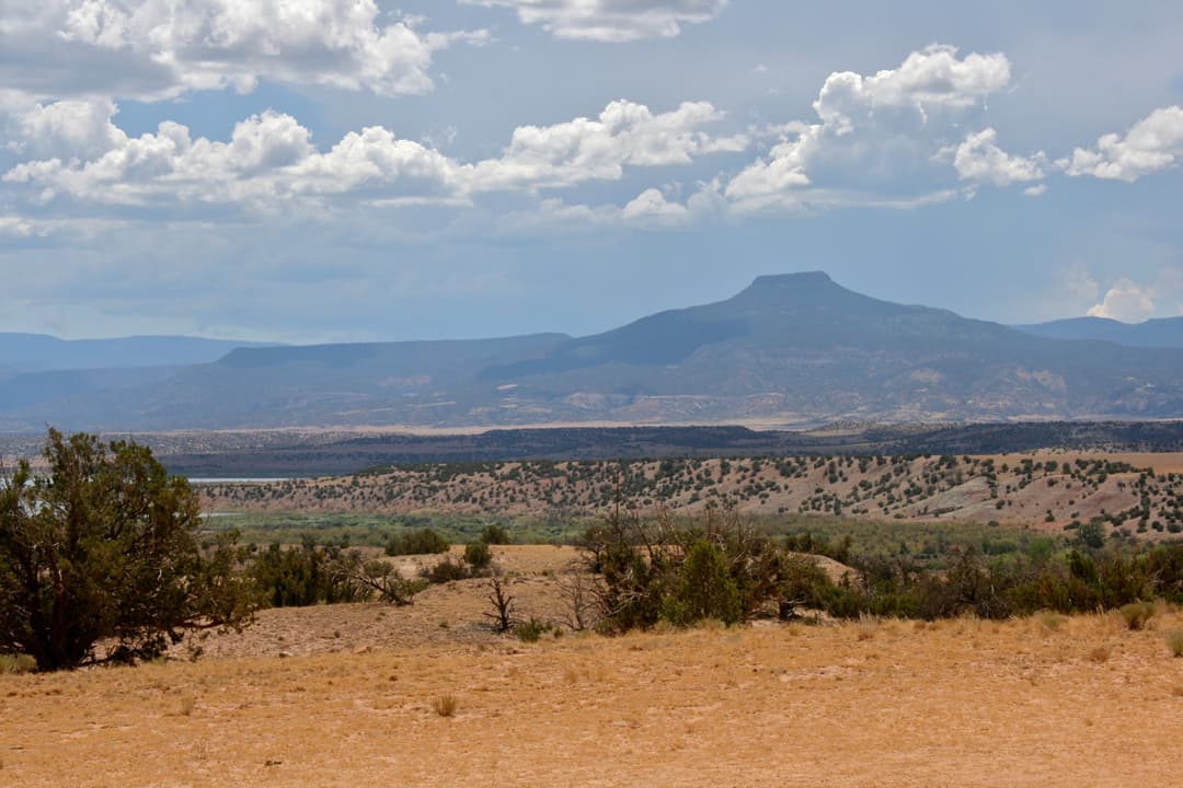 Cerro